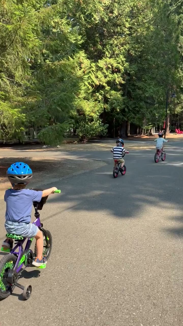 Three young children riding bicycles along a tree-lined road